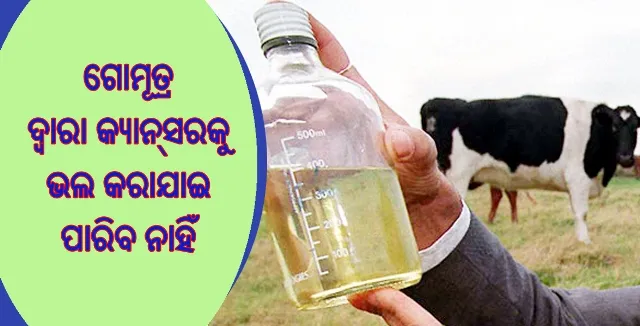 ‘ଗୋମୂତ୍ର ଦ୍ୱାରା କ୍ୟାନସର୍‌କୁ ଭଲ କରିବା ସମ୍ଭବପର ନୁହେଁ’
