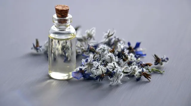 ଚର୍ମ ପାଇଁ ତେଲ ଠାରୁ ଭଲ କିଛି ନାହିଁ: ପରୀକ୍ଷା କରି ଦେଖି ପାରନ୍ତି