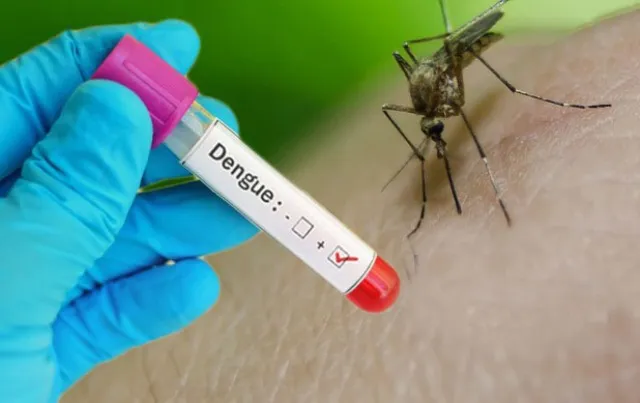 ରାଜ୍ୟର ୪୦ ପ୍ରତିଶତ ଡେଙ୍ଗୁ ଆକ୍ରାନ୍ତ ରାଜଧାନୀରେ