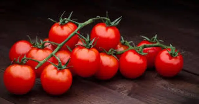 ସପ୍ତାହକୁ ଖାଆନ୍ତୁ କେବଳ ମାତ୍ର ୧୦ଟି ଟମାଟୋ, ହ୍ରାସ ପାଇବ କ୍ୟାନ୍‌ସର୍‌ ଆଶଙ୍କା
