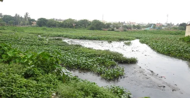 ସଙ୍କଟରେ ବାଲୁଙ୍କେଶ୍ୱର ପୁଷ୍କରିଣୀ