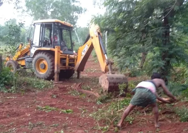 ନରାଜକୁ ସିପିଡିଓ ସ୍ଥାନାନ୍ତର ପ୍ରସଙ୍ଗ : ଦୁଇ ଦିନରେ ବଳିପଡ଼ିଲା ୨୦୦ ଗଛ