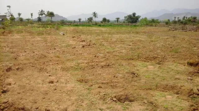 ଝାଡ଼ଖଣ୍ଡ କବ୍‌ଜାରେ ଓଡ଼ିଶା ଜମି : ୫ଟି ଗାଁକୁ ନେଇ ଥିବା ବିବାଦ ତୁଟୁନି