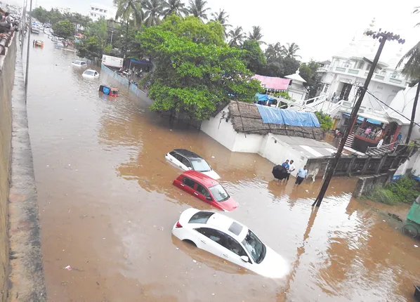 ବାହାରି ପାରିଲାନି ସ୍ଥାୟୀ ପ୍ରତିକାର