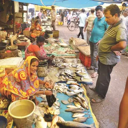 ହୋସ୍‌ ଉଡ଼ାଇଲା ଫର୍ମାଲିନ୍‌