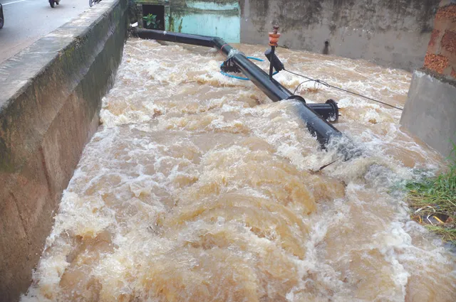 ପଛୁଆ ଫେରୁଛି ପାଣି