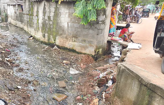 କାୟା ବିସ୍ତାର କଲାଣି ଡେଙ୍ଗୁ