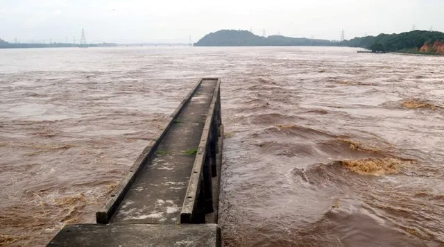 ତଳିଆ ଅଞ୍ଚଳରେ ବନ୍ୟା ଭୟ : ନରାଜରେ ବିପଦ ସଙ୍କେତ ପାଖରେ ମହାନଦୀ