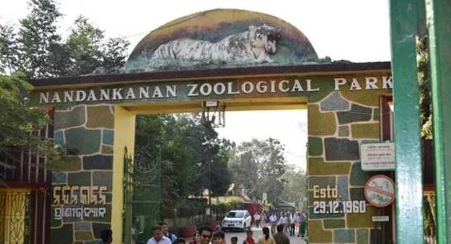 ନନ୍ଦନକାନନରେ ଜଳହସ୍ତୀର ମୃତ୍ୟୁ