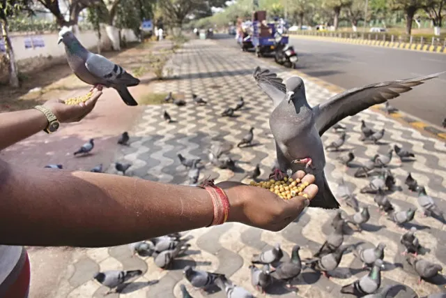 ରାଜଧାନୀର ଭୁବନେଶ୍ୱର କ୍ଲବ୍‌ ସମ୍ମୁଖରେ ପାରାମାନଙ୍କର ମେଳି