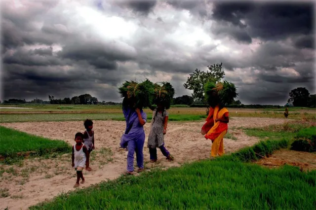 ଭାତ ହାଣ୍ଡିରେ ମୌସୁମୀ ମାଡ଼ : ରାଜ୍ୟରେ ୩୦% କମ୍‌ ବର୍ଷା,୧୪ ଆଗରୁ ବଡ଼ ବର୍ଷା ନାହିଁ