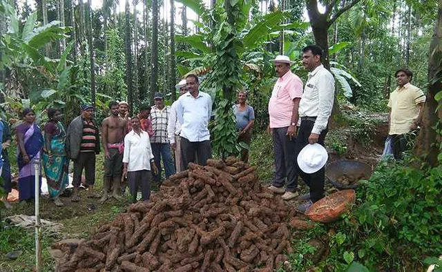 କୂଅ ଉଝାଳିବା ବେଳେ ମିଳିଲା ଟିପୁ ସୁଲ୍‌ତାନ୍‌ଙ୍କ ଅମଳର ୧୦୦୦ ରକେଟ୍‌