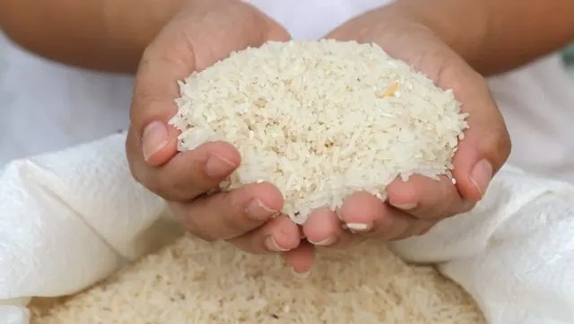 ଓଡ଼ିଶା ସରକାରଙ୍କ ଖାଦ୍ୟ ସୁରକ୍ଷା ଯୋଜନା କେବଳ ନିର୍ବାଚନୀ ଚାଲ୍‌: ବିରୋଧୀ