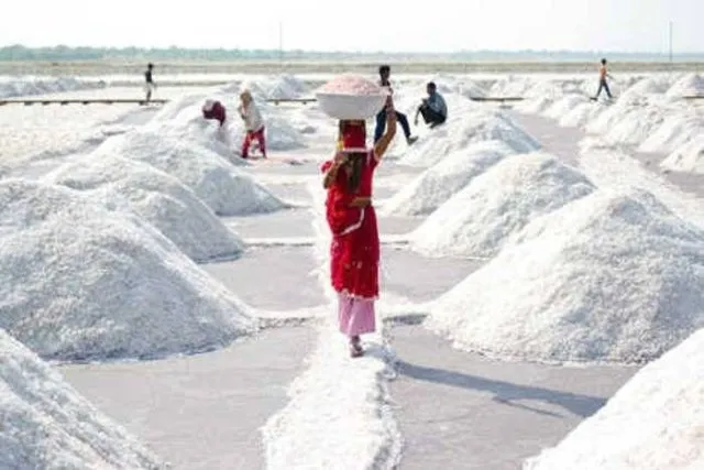 ଦେଶରେ ଲୁଣ ସଂକଟ ଆଶଙ୍କା