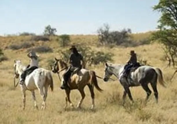 ନୂଆ ରଣନୀତି ଆପଣାଇ ଚୀନ ସେନା ମୋଟର ସାଇକେଲ ଓ ଘୋଡାରେ ବସି ଭାରତ ସୀମାକୁ ପ୍ରବେଶ କରୁଛି