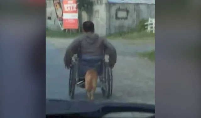 ସୋସିଆଲ୍‌ ମିଡିଆରେ ଭାଇରାଲ ହେଲା ପକ୍ଷଘାତ ଶିକାର ମାଲିକର ହ୍ଵିଲ୍‌ ଚେୟାରକୁ ଠେଲି ଠେଲି ନେଉଥିବା କୁକୁରର ଭିଡିଓ