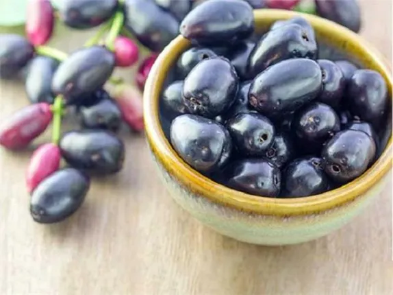 ଜାମୁକୋଳି ଖାଇ ସାରିବା ପରେ ଖାଆନ୍ତୁ ନାହିଁ ଏହି ୩ଟି ଜିନିଷ