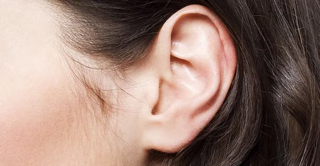 କ’ଣ କହେ ସାମୁଦ୍ରିକ ଶାସ୍ତ୍ର! ଆପଣଙ୍କ କାନର ଆକାର ଏପରିକି? ତାହେଲେ ଆପଣଙ୍କ ସ୍ୱଭାବ ଏଭଳି