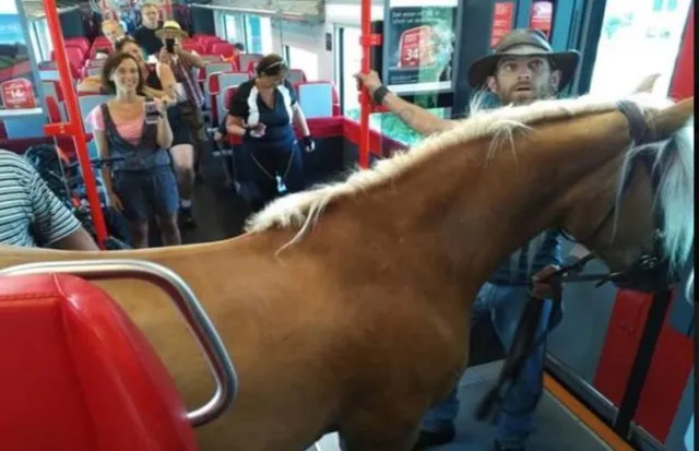 ଟ୍ରେନ୍‌ରେ ଘୋଡା ନେଇ ଚଢ଼ି ଗଲେ ଏହି ଯୁବକ, ଯାତ୍ରୀ ଦେଖି ହେଲେ ଆଶ୍ଚର୍ଯ୍ୟ