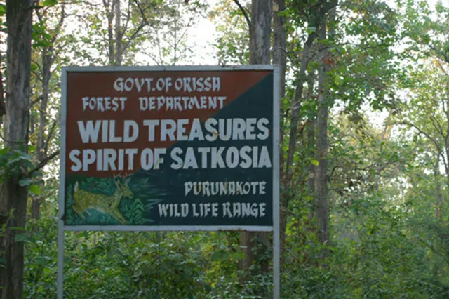 ସାତକୋଶିଆରେ ବନ୍ୟପ୍ରାଣୀ ଅସୁରକ୍ଷିତ, ଚିକିତ୍ସା ଅଭାବରୁ ଅଣ୍ଡିରା ହାତୀଛୁଆର ଜୀବନ ଗଲା