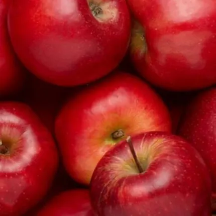 ସେଓରେ ବିଷ! : ଚକ୍‌ଚକ୍‌ ପାଇଁ ଦିଆଯାଉଛି ମିନେରାଲ ତେଲର ପ୍ରଲେପ