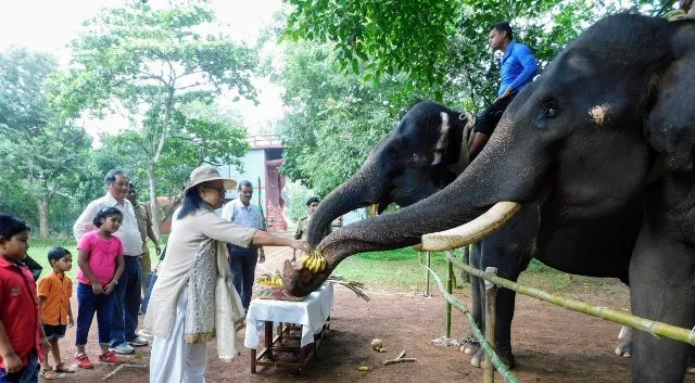 ନନ୍ଦନକାନନରେ ବିଶ୍ୱ ହସ୍ତୀ ଦିବସ