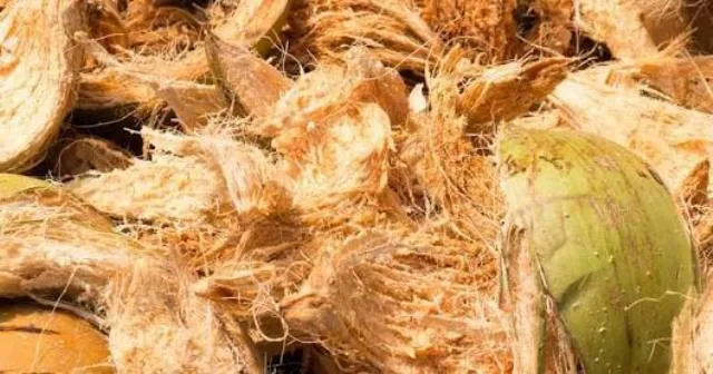 ନଡ଼ିଆକତା ସହ ୭ଟି କ୍ଲଷ୍ଟର ପାଇଁ କେନ୍ଦ୍ରକୁ ସୁପାରିସ