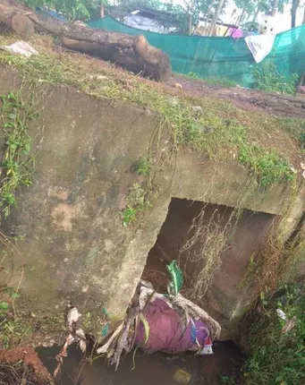 ଗଳିପଡ଼ିବ କଲ୍‌ଭର୍ଟ