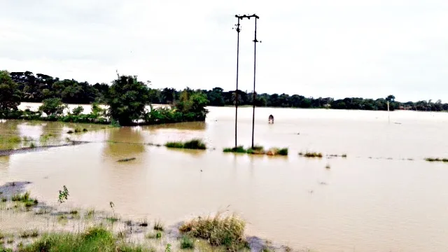 ଉତ୍ତର ଓଡ଼ିଶାରେ ବନ୍ୟା : ବାଲେଶ୍ୱରର ୯ ପଞ୍ଚାୟତ ପାଣି ଘେରରେ