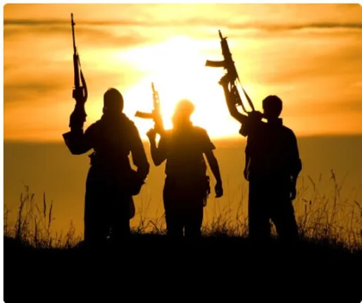 ଏମ୍‌ବିଏ ଛାତ୍ର  ଆତଙ୍କବାଦୀ ସଂଗଠନ ହିଜ୍‌ବୁଲ୍‌ ମୁଜାହିଦ୍ଦିନ୍‌ରେ ଯୋଗଦେଲେ; ଆସଲ୍ଟ ରାଇଫଲ ଧରି ଉଠାଇଥିବା ଫଟୋ ପୁଲିସ୍‌ ନିକଟକୁ ପଠାଇଲେ