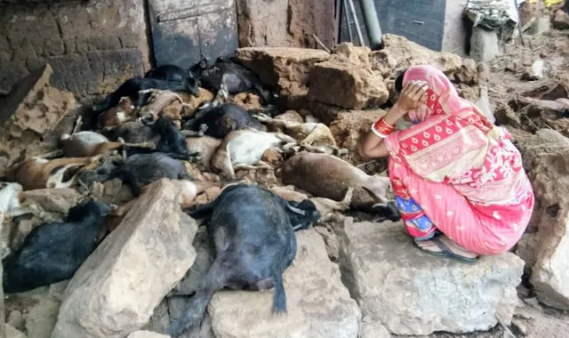 କାନ୍ଥ ପଡ଼ି ୨୪ ଛେଳି ମୃତ