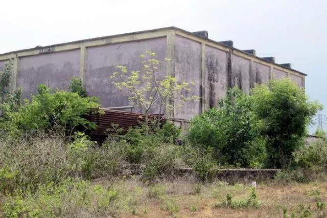 ଖତ ଖାଉଛି ୮୨ ଶୀତଳଭଣ୍ଡାର, ନୂଆ ସୌରଚାଳିତ ଶୀତଳ ଘର ଖୋଲିବାକୁ ନିର୍ଦେଶ