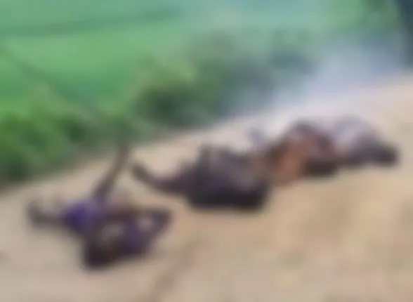 ‘ସୌଭାଗ୍ୟ’ ଆଣିଲା ଦୁର୍ଭାଗ୍ୟ : ବିଦ୍ୟୁତ୍‌ ଆଘାତରେ ୫ ଶ୍ରମିକ ଗୁରୁତର