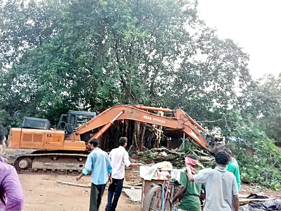 ଜୁଡିସିଆଲ୍‌ କୋର୍ଟ କମ୍ପ୍ଲେକ୍ସ ପାଇଁ ବଳି ପଡ଼ିଲା ୪୦ ବର୍ଷର ୭ ବରଗଛ