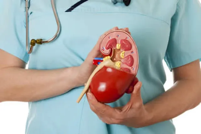 ଶୋଇବା ଠାରୁ ଆରମ୍ଭ କରି ପାଣି ପିିଇବା ପର୍ଯ୍ୟନ୍ତ, ଆପଣ କରୁଥିବା ଏହି ୪ଟି ଭୁଲ ହୋଇପାରେ କିଡ୍‌ନି ସମସ୍ୟାର କାରଣ