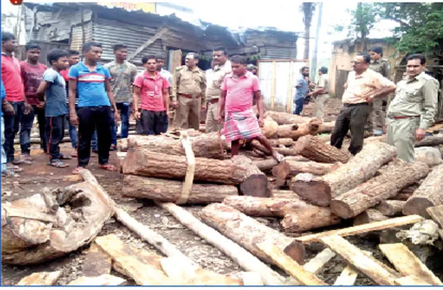 ବେଆଇନ୍‌ କରତ କଳରେ ଚଢ଼ଉ:୧ ଲକ୍ଷ ଟଙ୍କାର କାଠ ଓ ମେସିନ୍‌ ଜବତ