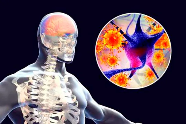 ମାଲକାନଗିରିରେ ପୁଣି ଘାରିଛି ଜାପାନୀ ଜ୍ୱର ଆତଙ୍କ