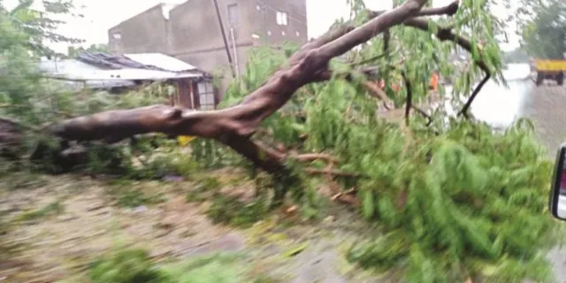 ବିବାଦରେ ମୃତ୍ୟୁସଂଖ୍ୟା : ବେସରକାରୀ ୬୦, ସରକାରୀ ୧୮