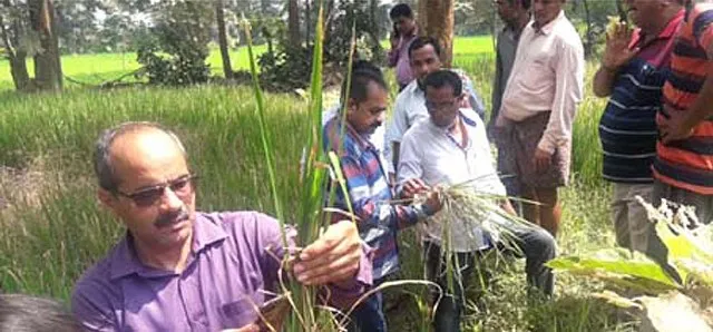 ବଲାଙ୍ଗୀରରେ ଚକଡ଼ା ସ୍ଥିତି ଅନୁଧ୍ୟାନ କଲେ କେନ୍ଦ୍ରୀୟ ଟିମ୍