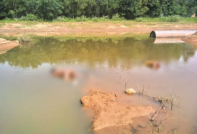 ପାଣିରେ ବୁଡ଼ି ଦୁଇ ଛାତ୍ରଙ୍କ ମୃତ୍ୟୁ