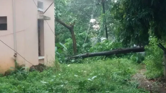 ଓଟି, ଆଇସିୟୁ, ନର୍ସିଂ ହୋମ୍ ଓ ବହିର୍ବିଭାଗ ଅନ୍ଧାର