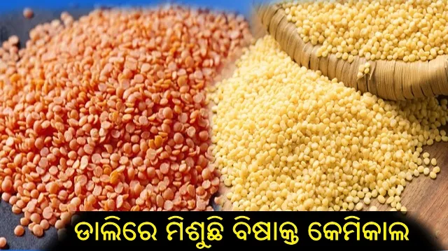 ଡାଲିରେ ମିଶୁଛି ବିଷାକ୍ତ କେମିକାଲ : ମୁଗ ଓ ମସୋରି ଡାଲିଠାରୁ ଦୂରେଇ ରହିବା ପାଇଁ ସତର୍କ ସୂଚନା ଜାରି କଲା ଫୁଡ ସେଫ୍ଟି ଆଣ୍ଡ ଷ୍ଟାଣ୍ଡାର୍ଡ ଅଥରିଟି ଅଫ ଇଣ୍ଡିଆ