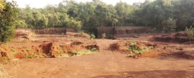 ମାଫିଆଙ୍କ କବ୍‌ଜାରେ ମହାଗିରି ପର୍ବତାଞ୍ଚଳ : ବେଆଇନ ଭାବେ ଚାଲିଛି ମାଙ୍କଡ଼ା ପଥର ଲୁଟ 