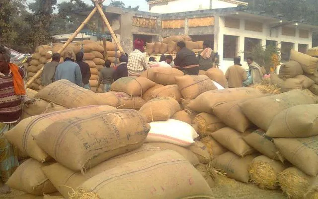 ସିଏଜି ରିପୋର୍ଟରେ ଧାନକିଣା ଦୁର୍ନୀତି : ୪୩ ଭୂତ ଚାଷୀ, ୩୯ ଲକ୍ଷ ଟଙ୍କା ହେର୍‌ଫେର୍‌, ମାର୍କଫେଡ୍‌ ଆଡ଼କୁ ଆଙ୍ଗୁଳି ନିର୍ଦ୍ଦେଶ