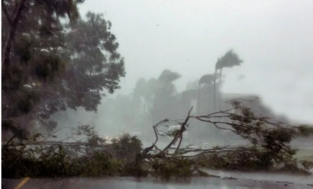 ତିତ୍‌ଲି ଉଜାଡ଼ିଦେଲା ଚାଷ, ୮ଟି ଜିଲ୍ଲାରେ ଚାଲିଛି ଫସଲ ବୀମା ଅନ୍ତରୀଣ ସହାୟତା ସର୍ଭେ