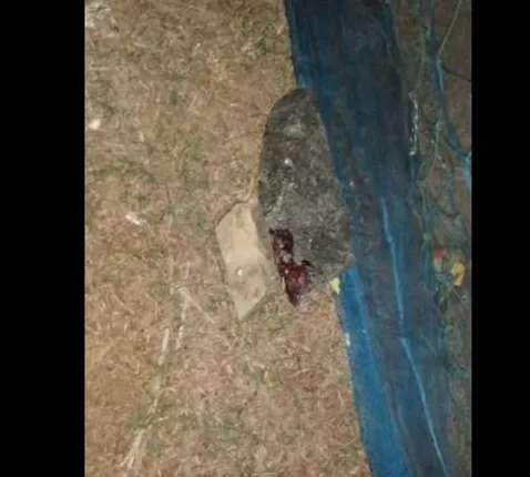 ପଥରରେ ଛେଚି ଯୁବକଙ୍କୁ ହତ୍ୟା