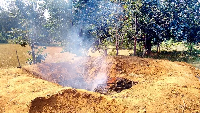 ହାତୀକୁ ମାରି ପୋଡ଼ିଦେଲେ : ଜଣେ ଅଟକ, ବନପାଳ ଓ ବନରକ୍ଷୀ ନିଲମ୍ବିତ