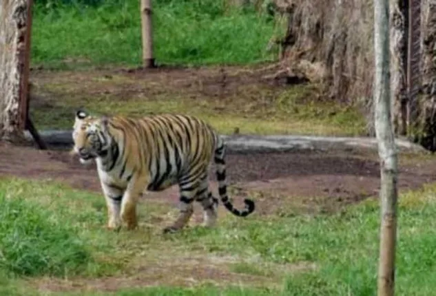 ଚୂଡ଼ାନ୍ତ ପର୍ଯ୍ୟାୟରେ ଘର ବାହୁଡ଼ା ପ୍ରକ୍ରିୟା, ସପ୍ତାହକ ଭିତରେ ଓଡ଼ିଶା ଛାଡ଼ିବ ସୁନ୍ଦରୀ