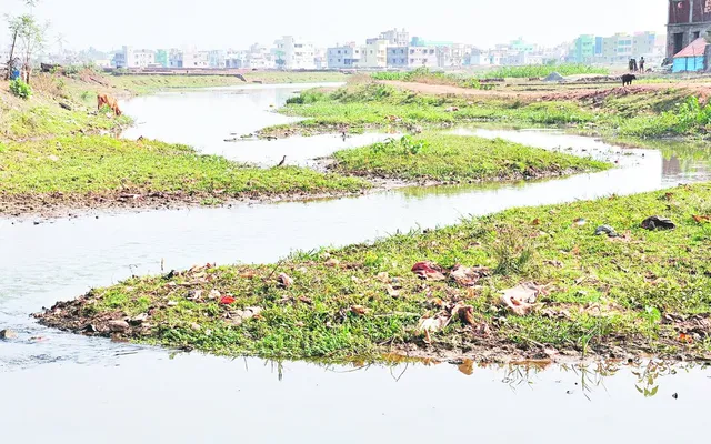 ଗଙ୍ଗୁଆ  ଉପରେ ବିଜୁ ସେତୁର ଶିଳାନ୍ୟାସ