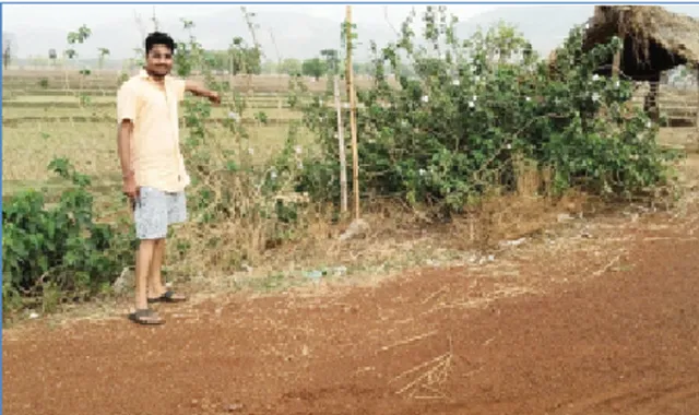 ୨୫ଲକ୍ଷ ଟଙ୍କାର ରାସ୍ତା ଚୋରି :ଆଇଏପି ଅନୁଦାନ କେଳେଙ୍କାରୀ